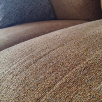 Tüylü Kanepe Kabusu: Doğtaş'ın Müşteri Hizmetleri Hayal Kırıklığı