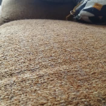 Tüylü Kanepe Kabusu: Doğtaş'ın Müşteri Hizmetleri Hayal Kırıklığı