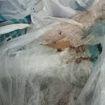 A101 Kapıda Uygulaması: Sipariş Karışıklığı Ve İletişim Sorunları