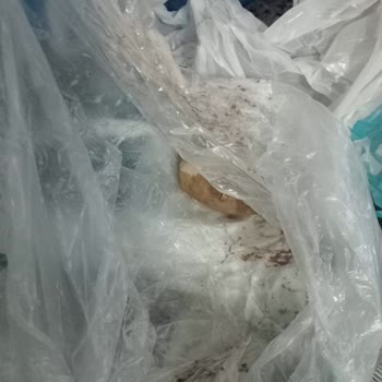 A101 Kapıda Uygulaması: Sipariş Karışıklığı Ve İletişim Sorunları