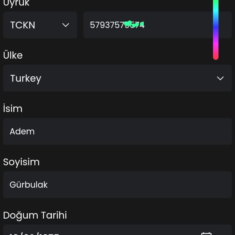 Hesaba Erişim Sorunu Ve Destek Eksikliği