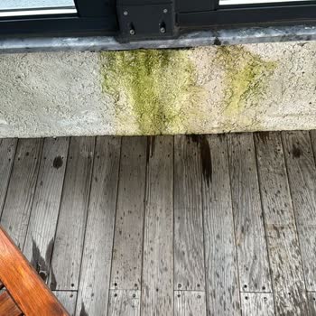 İş Disiplini Olmayan Firma: Global Tente