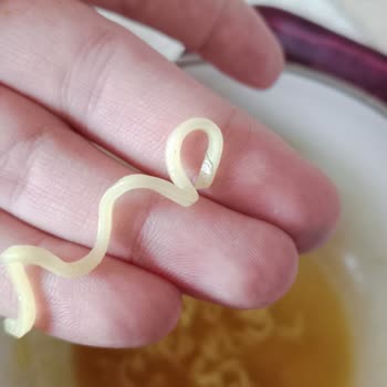 Noodle'da Kıl Benzeri Madde Şoku