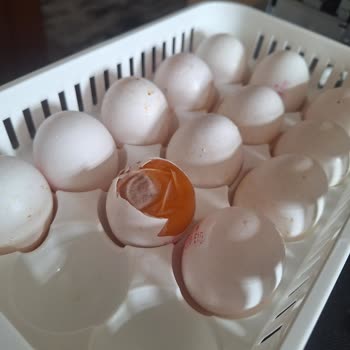 Migros'tan Bozuk Ürün Ve Yetersiz Müşteri Hizmetleri