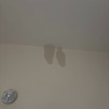 Elazığ TOKİ Şikayetim