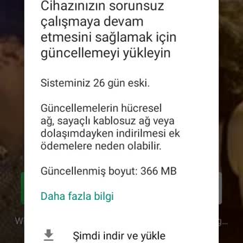 Reeder P 13 Blue Max Lite 2022: Şebeke Ve Performans Sorunları!