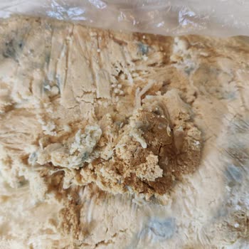 Siemens Buzdolabında Bitmeyen Sorunlar Ve Yetersiz Servis