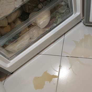 Siemens Buzdolabında Bitmeyen Sorunlar Ve Yetersiz Servis