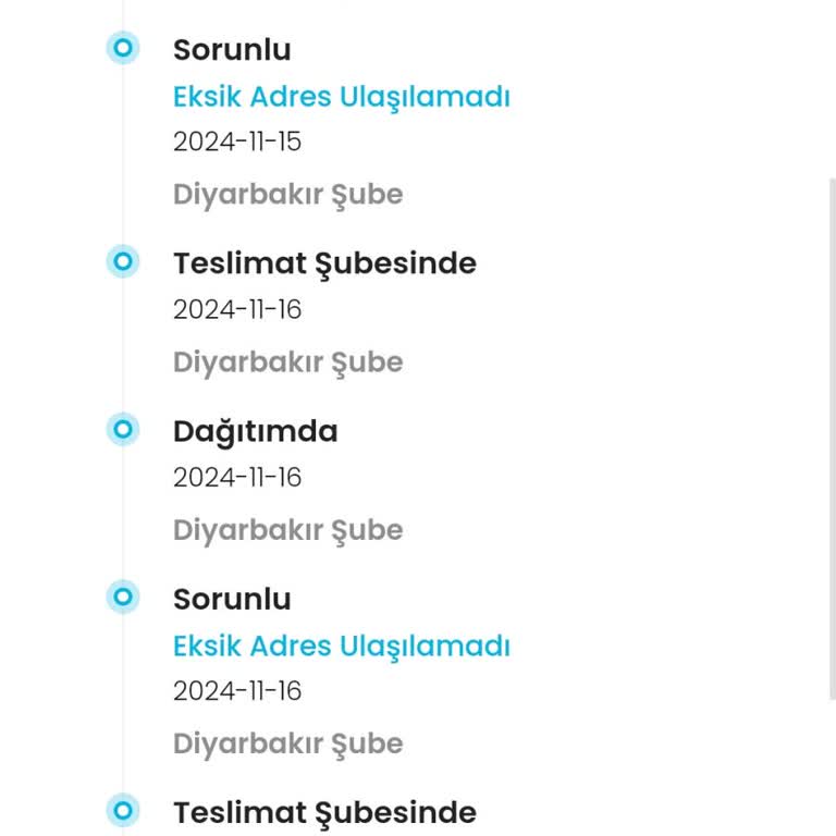 Kargoist Diyarbakır Şubesi Teslimat Sorunu