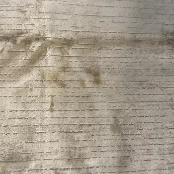 Halı Temizleme Hizmetinde Hayal Kırıklığı