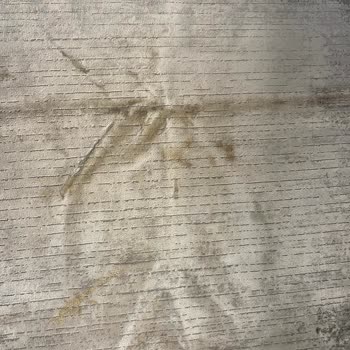 Halı Temizleme Hizmetinde Hayal Kırıklığı