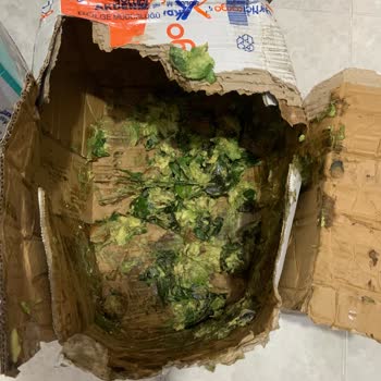 Yurtiçi Kargo'dan Gelen Hasarlı Paket Sorunu