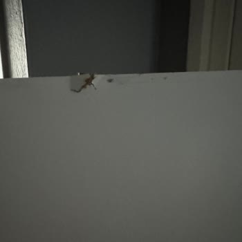 A101 Çamaşır Makinesi Dolabı Kabusu