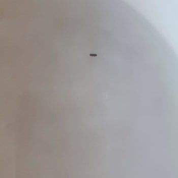 Migros Osmancık Pirinçte Kurt Problemi