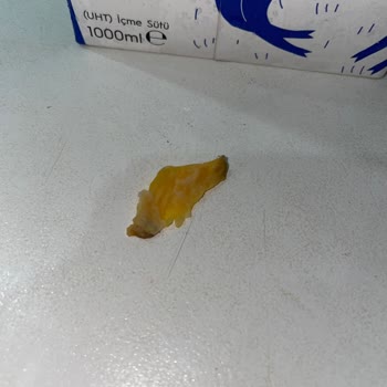 Harras Sütünden Çıkan Gizemli Cisim Şoku