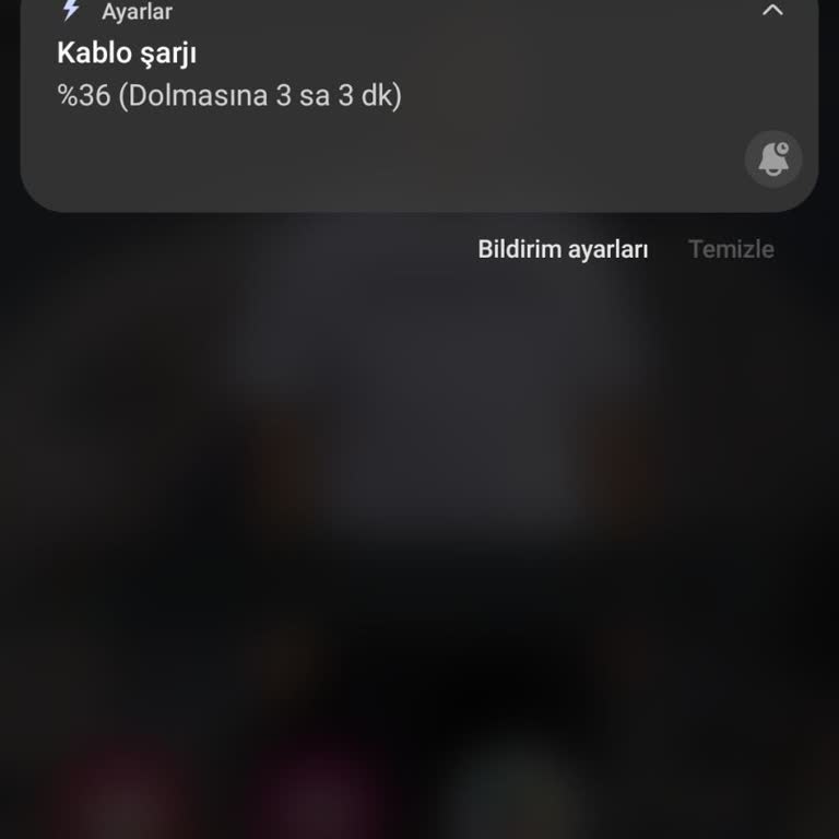Samsung M51 Şarj Sorunu
