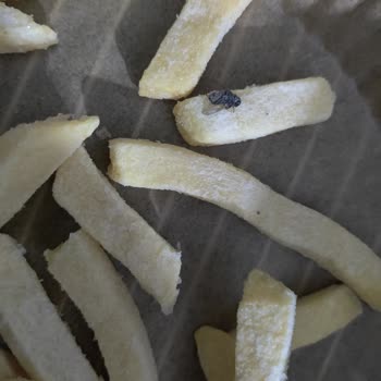 File Market'ten Aldığım Üründe Donmuş Sinek Şoku