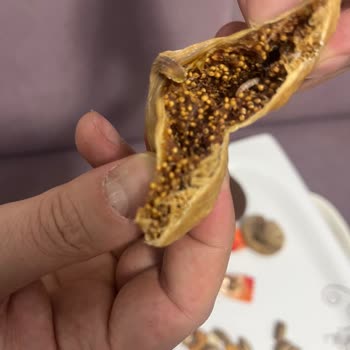 Kurtlu İncir Skandalı