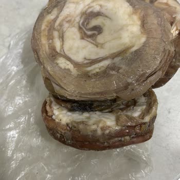 Hasan Usta 1974ten Gelen Kokorecin Kalitesizliği