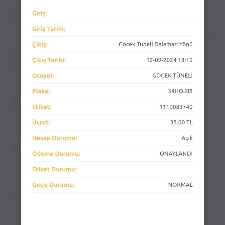 Yanlış HGS Ücreti Kesintisi Ve İletişim Sorunları