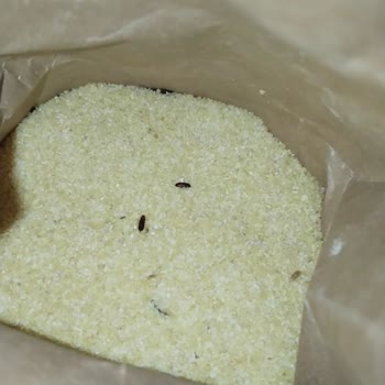 Böcek Dolu İrmik Şoku: Bebeğime Verecektim!