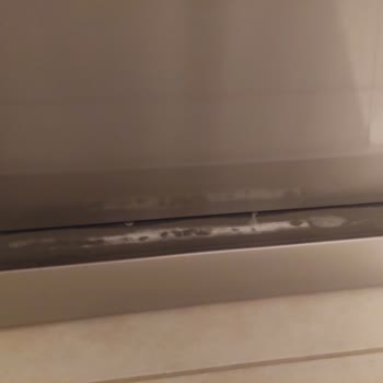 Bulaşık Makinesi Renk Atması Sorunu