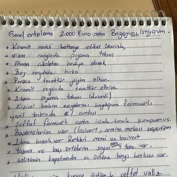 THY İle Bagaj Kabusu: Kayıp Valiz Ve Mağduriyet