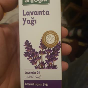 Lavanta Yağının Keskin Kokusu Ve Yan Etkileri