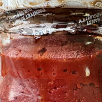 Kaptan'ın Ceviz Çiftliği Şikayeti