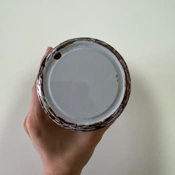 Kaptan'ın Ceviz Çiftliği Şikayeti