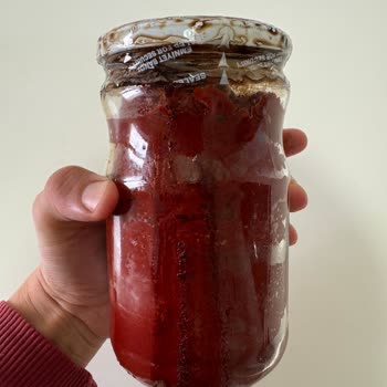 Kaptan'ın Ceviz Çiftliği Şikayeti