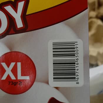 Büyük Boy Yumurta Hayal Kırıklığı