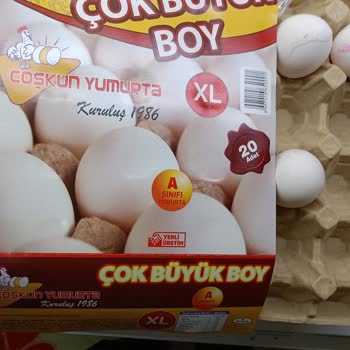 Büyük Boy Yumurta Hayal Kırıklığı