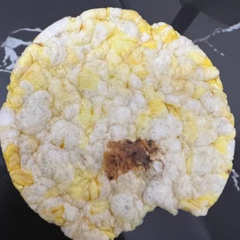 Gong Ürünü Kötü Koku Ve Sağlık Sorunları Yarattı