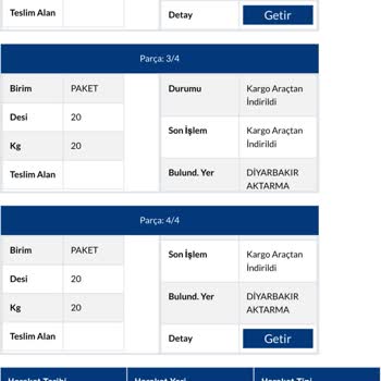 Kayıp Kargo Krizi: Ürün Teslim Edilemiyor!