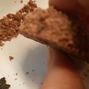 Üründen Çıkan Tehlikeli Madde