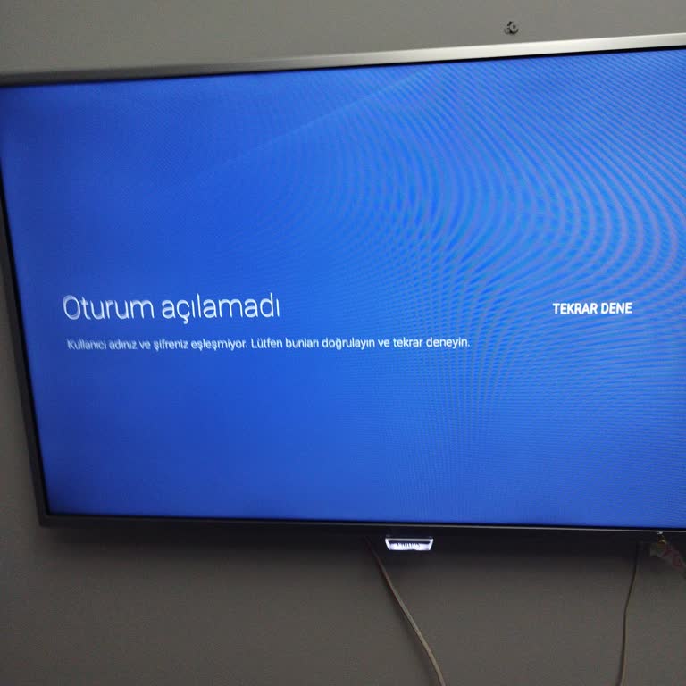 Philips TV Play Store Sorunu
