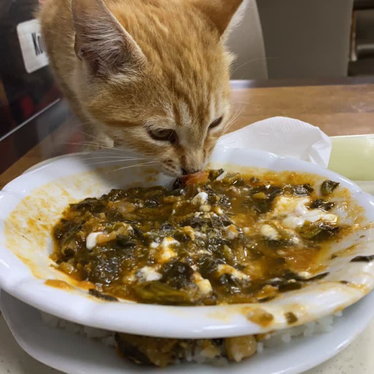 Bilecik KYK Yurdu Yemekhanesi Ve Kantininde Adil Olmayan Uygulamalar