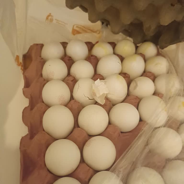 Kırık Yumurtalar Ve İlgisiz Müşteri Hizmeti