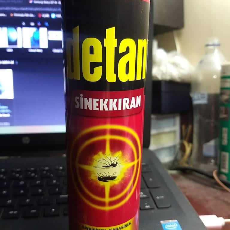 Etkisiz Haşere İlacı: Ne Sinek Öldürüyor Ne Rahatsız Ediyor!