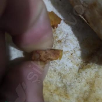 Torku Ziyafet Döner'in Sözde Döneri!