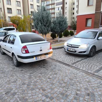 Site Yönetiminin İlgisizliği Ve Park Sorunları