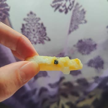 Dondurulmuş Parmak Patateslerde Böcek Şoku