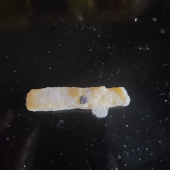 Dondurulmuş Parmak Patateslerde Böcek Şoku