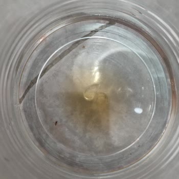 Nescafe Kahvemden Böcek Çıktı!