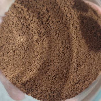 Nescafe Kahvemden Böcek Çıktı!