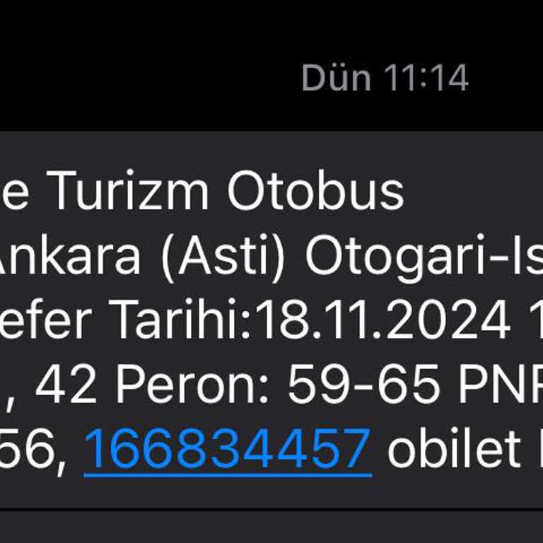Beklenmedik Yolculuk: Köpek Dışkısı Ve Kusmuğu İle Seyahat