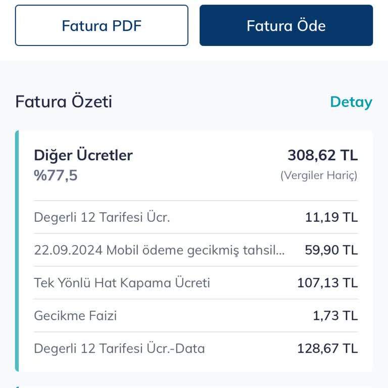 Fatura Şeffaflığı Sorunu