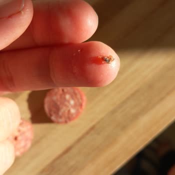 Şahin Sucukları Sucukta Kıl Yumağı Şoku: Şahin Markasına Yakışmadı