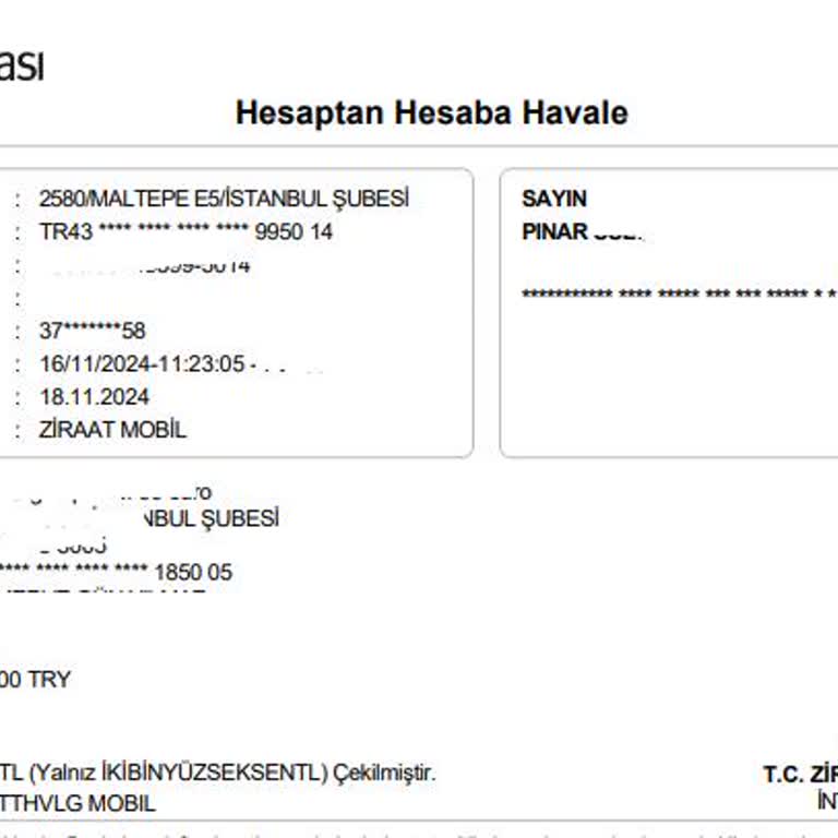 Kayıp Para Transferi: Müşteri Hizmetlerine Ulaşamıyorum!